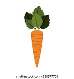Isolated Carrot Icon Vegetable Icon Vector Stock Vector (Royalty Free) 1938699442 | Shutterstock