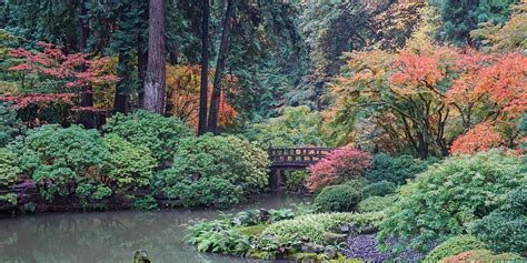 Fall Color Update: October 29, 2018 – Portland Japanese Garden