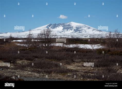 Snøhetta is with 2286 meter above sea level the highest peak in Dovrefjell which is a mountain ...