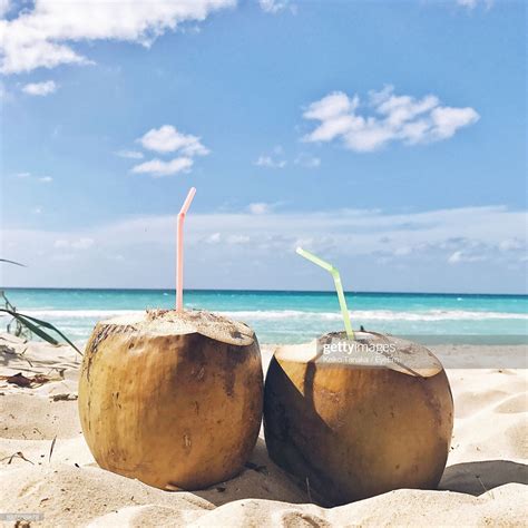 Stock Photo : Close-Up Of Coconut At Beach Against Sky | Pantai, Doodle bunga, Wattpad