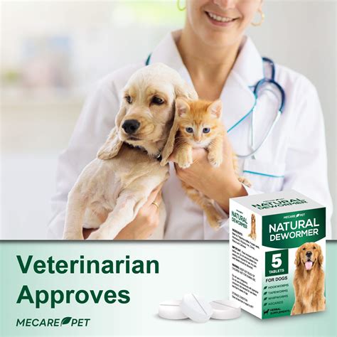 Is There A Natural Dewormer For Dogs