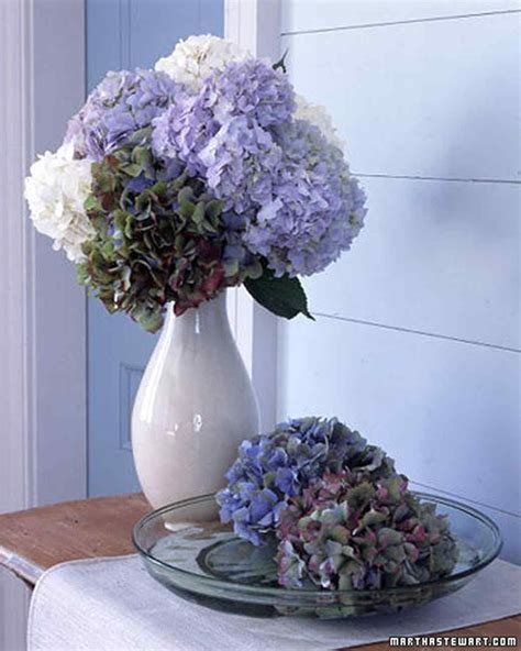 Hydrangea Arrangements | Martha Stewart