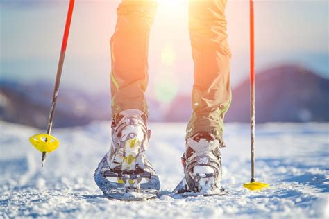 Top Trails for Snowshoeing in Estes Park | Rocky Mountain Resorts