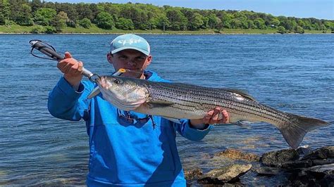 Striped Bass Fishing at the Cape Cod Canal - Day 1 - YouTube