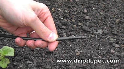How to Install a Drip Irrigation System for Trees - YouTube