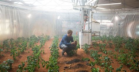 Un pas de plus vers la colonisation de Mars : on peut y cultiver des légumes comestibles