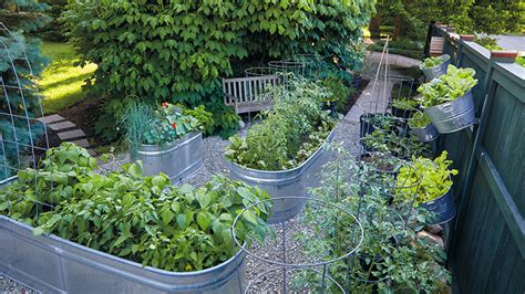 Galvanized Containers For Gardening - Garden Design Ideas