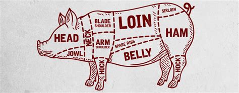 What Is Unique About the Primal Pork Loin Compared to the Beef or Veal ...