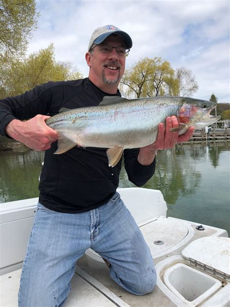 DNR asks anglers to turn in adipose fin clipped fish