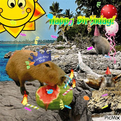 Happy Birthday Capybara GIF - Happy birthday Capybara - Discover & Share GIFs