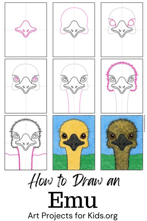 Learn how to draw an Emu with an easy step by step tutorial. Free PDF ...