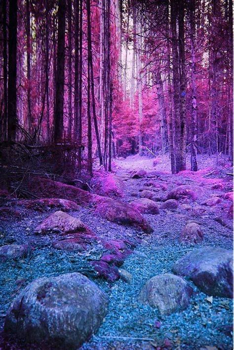 Pink forest Amazing Nature, Beautiful Scenery, Lovely, Beautiful World, Beautiful Images, Purple ...