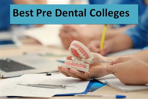 Best Pre Dental Colleges