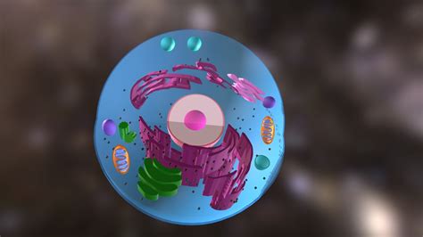 Portfolio Project: Parts of an Animal Cell - Download Free 3D model by Calramon Mabalot ...