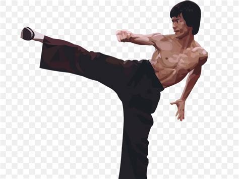 Flying Kick Martial Arts, PNG, 1024x768px, Flying Kick, Arm, Bruce Lee ...