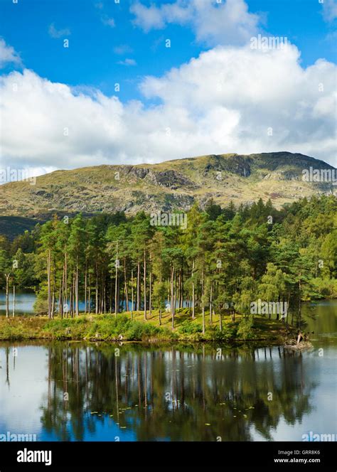 Tarn Hows, Lake District Stock Photo - Alamy