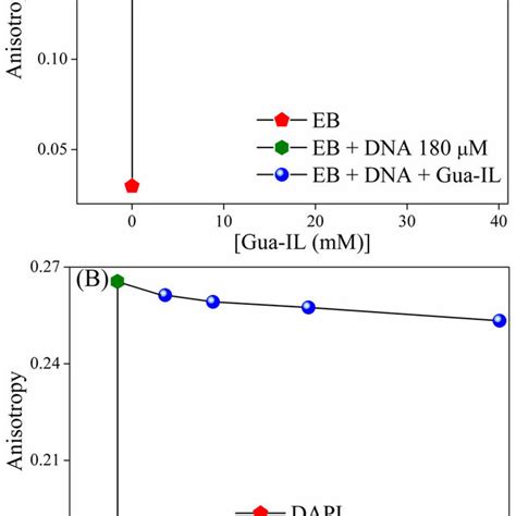 DNA compaction scheme. A plausible DNA compaction mechanism. | Download ...