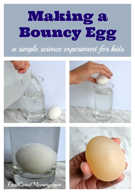 How To Make A Rubber Egg Experiment