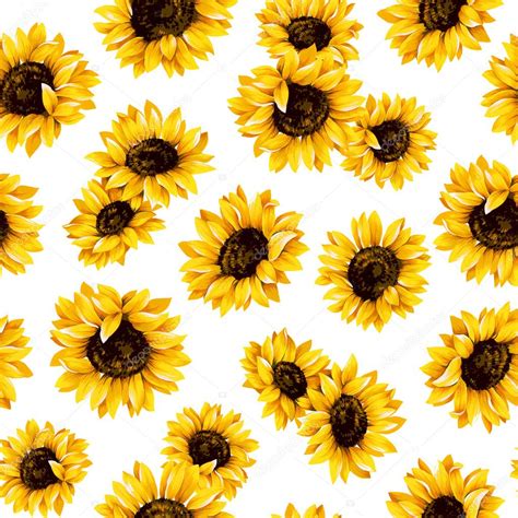 Sunflower pattern — Stock Photo © daicokuebisu #69869499