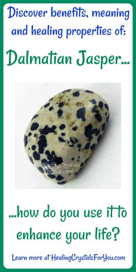 Dalmatian Jasper Helps You Find Your Purpose