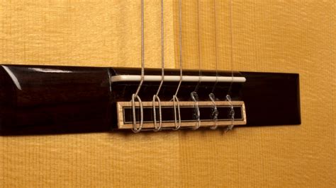 Different Guitar Bridge Types - Your Ultimate Bridge Guide