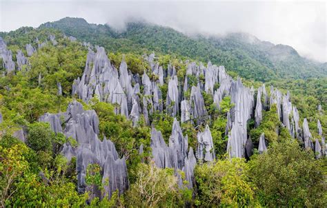 Parque Nacional de Gunung Mulu, Malasia | Parques nacionales, Viajar a ...