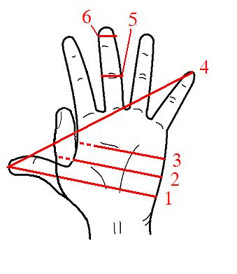 Hand (unit) - Wikipedia