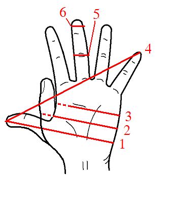 Hand (unit) - Simple English Wikipedia, the free encyclopedia