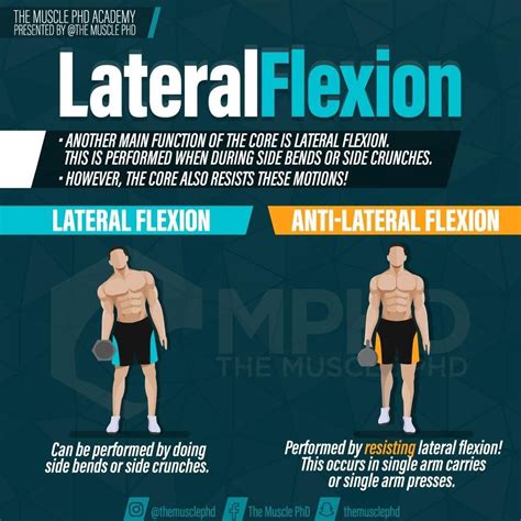 💥 Lateral flexion is another common way we see the core trained – this occurs in exercises like ...