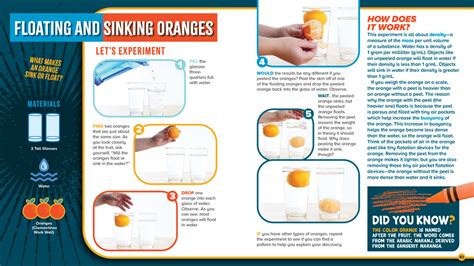 STEM Experiment Books - Steve Spangler