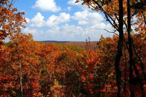 The beautiful Ozark Mountains in the fall | Ozark mountains, Scenic, Natural landmarks