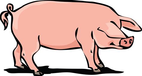 Free Pork Cliparts, Download Free Pork Cliparts png images, Free ClipArts on Clipart Library