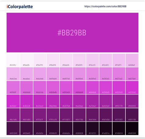 Pantone Purple C Color | Hex color Code #BB29BB information | Hsl | Rgb | Pantone