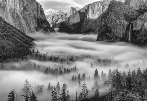 Ansel Adams Famous Black And White Photographer | Aaron Reed