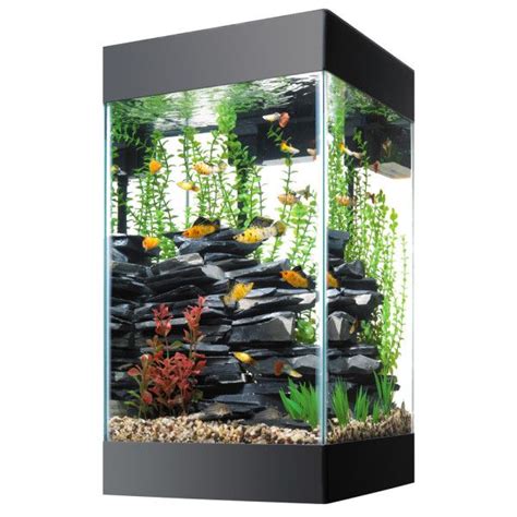 Terrarium Stacker Petsmart