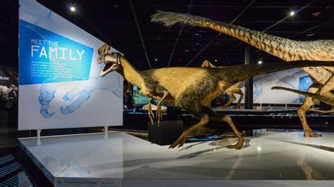 Get a First Look at the AMNH's New T. rex Exhibit | LaptrinhX / News