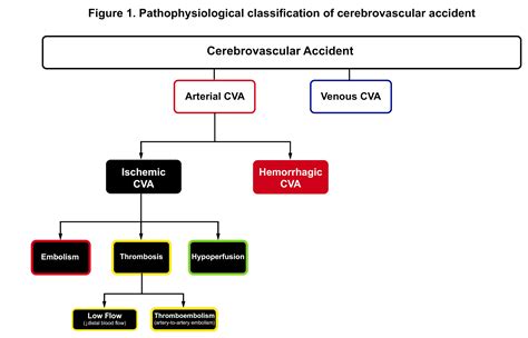 Update on Management of Acute Ischemic Stroke in The Emergency ...