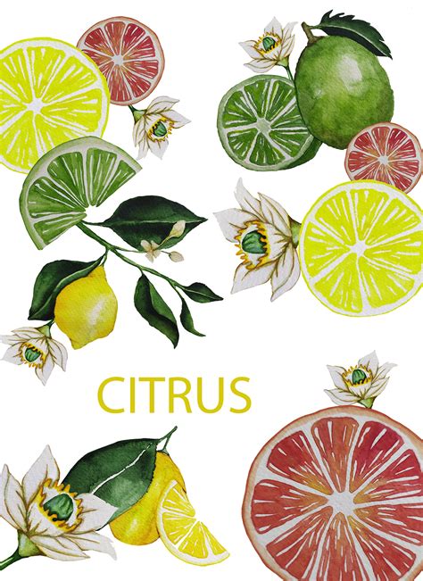 CITRUS - Print Design Project on Behance