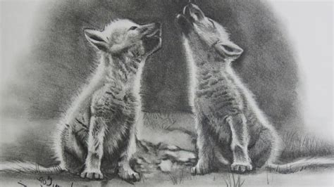 Howling Wolf Pup Drawing