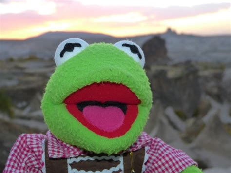 Kermit frog green Free stock photos in JPEG (.jpg) 4000x3000 format for ...