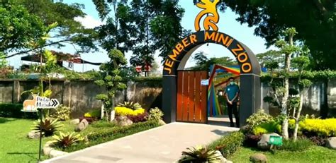 √ Jember Mini Zoo: Review, Harga Tiket Masuk 2024