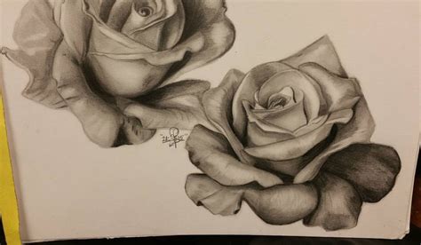 Rose Flower Pencil Drawing Images : Image Result For Rose Pencil Pictures | Bodemawasuma