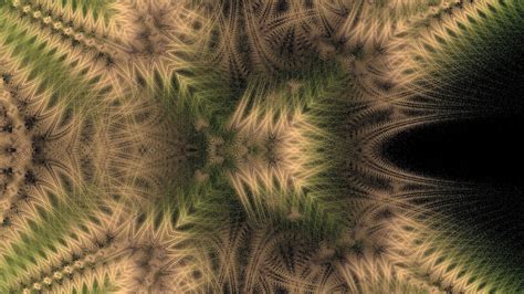 Fractal Fern Free Stock Photo - Public Domain Pictures