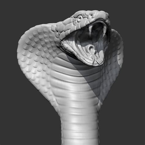 ArtStation - King Cobra Head AM09 3D print model | Resources