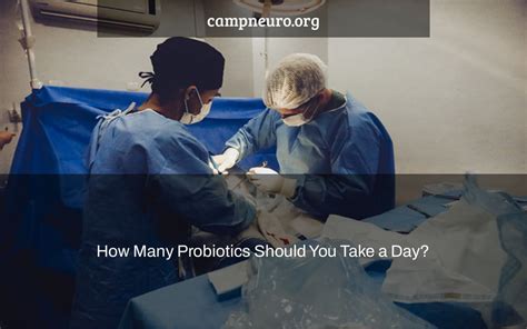 How Many Probiotics Should You Take a Day? | Camp Neuro