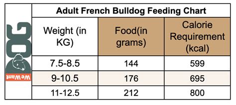 French Bulldog Feeding Guide UK – How Much to Feed? - WeWantDogs