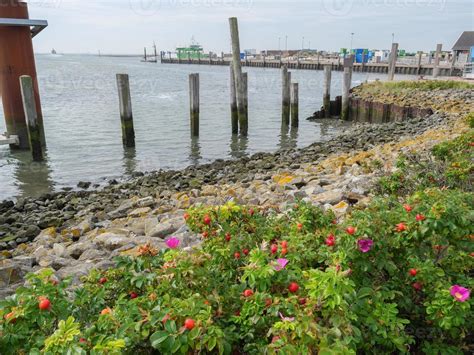 Spiekeroog island in germany 11883125 Stock Photo at Vecteezy