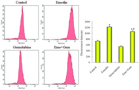 The P-gp function in SW1990/Gem was observed by Rhodamine123 (Rh123)... | Download Scientific ...