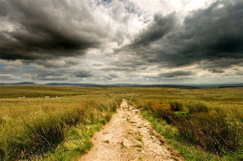 Capturing the best in Yorkshire landscape photography - Raven Hall Hotel