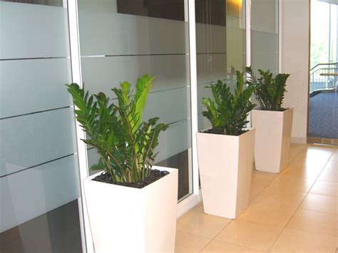 office plants plant planters interior zz space planter tall spaces indoor decoration offices ...